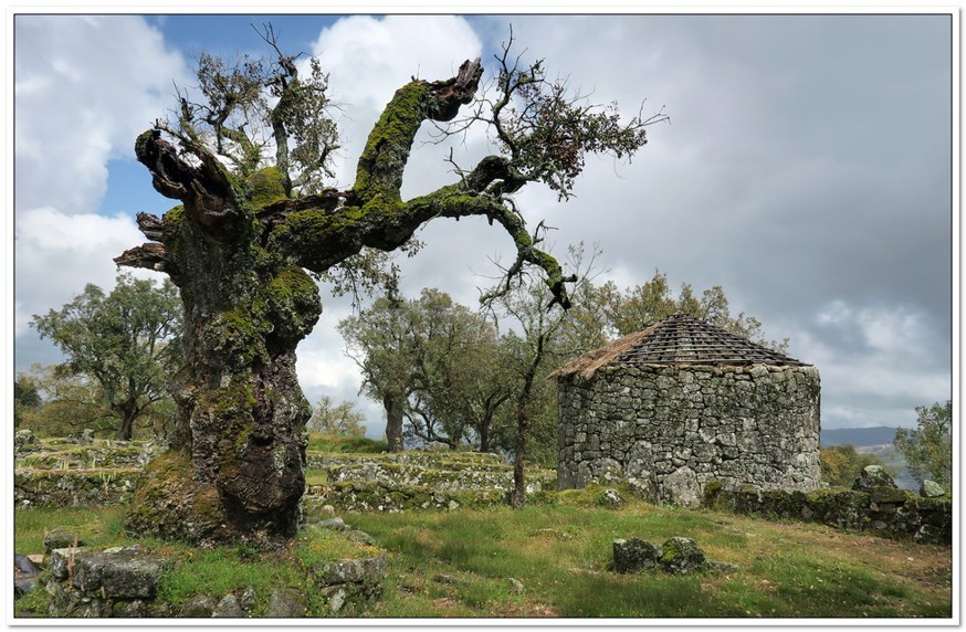 Severní Portugalsko, Archeologické naleziště Citania de Briteiros - hrad co navštívit a vidět v Portugalsku